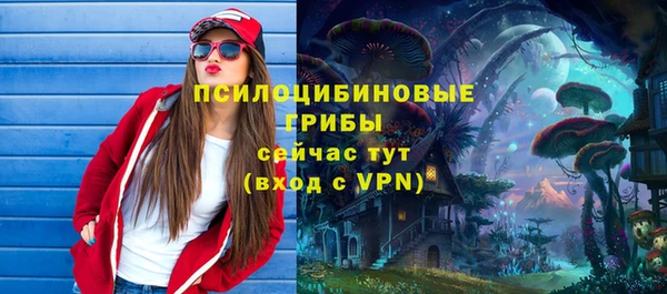 стафф Арсеньев