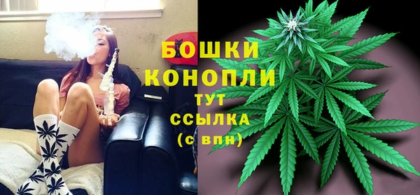 a pvp Аркадак